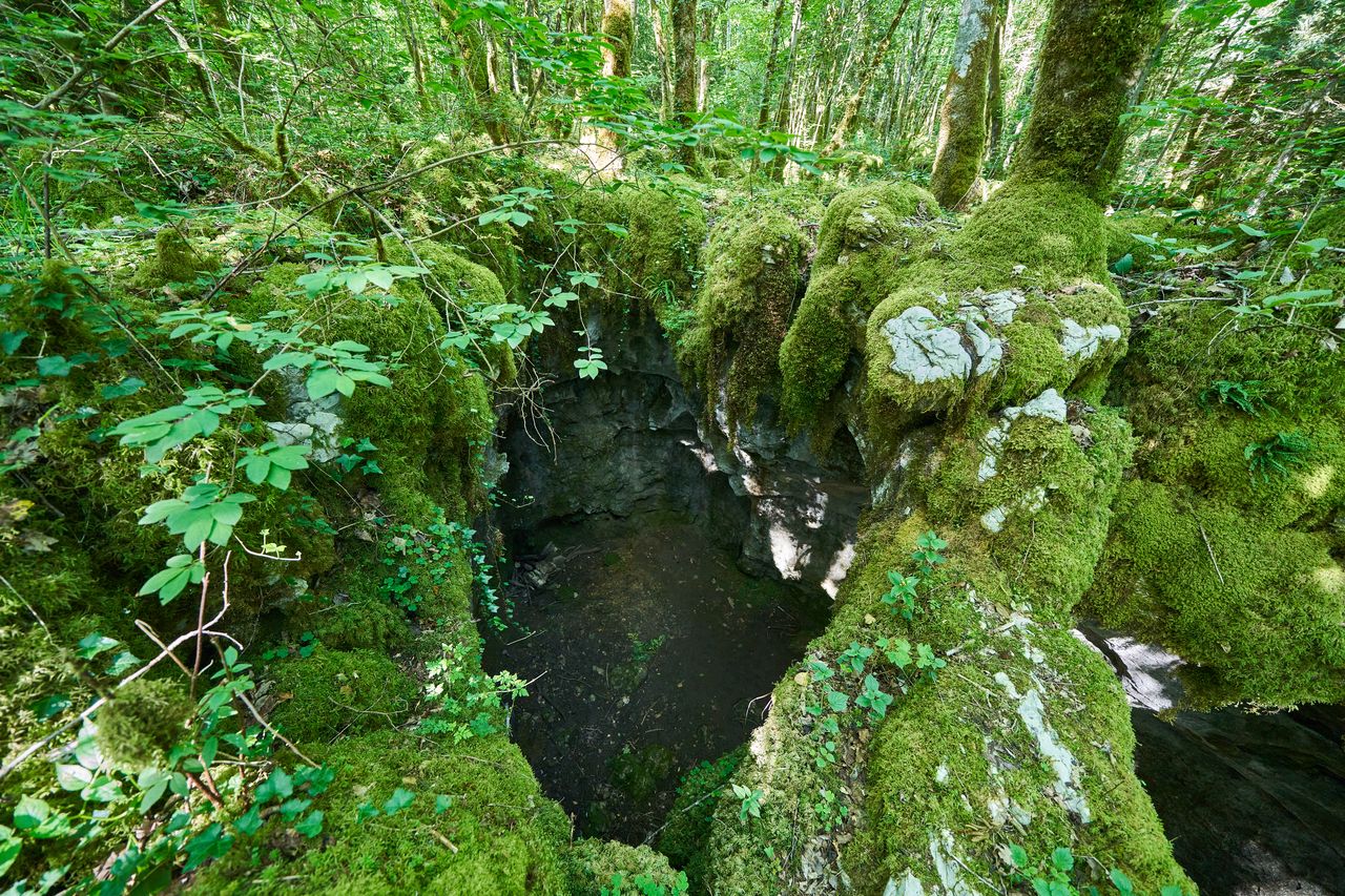 Sentier karstique des Malrochers à Besain, près de Poligny 12